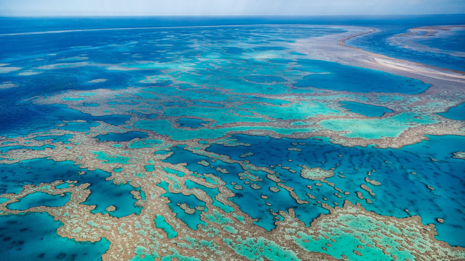 Scientists try new experiment to protect Barrier Reef