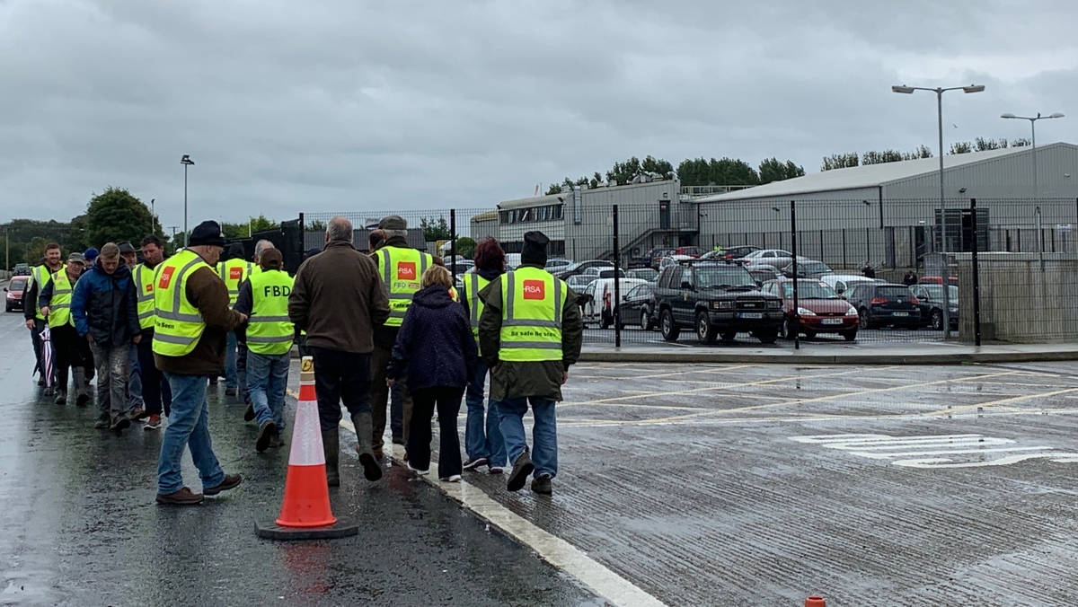 Chinese delegation to visit meat plant Morning Ireland