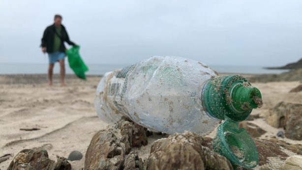 Swimmer seeks home for toys left on Wexford beaches