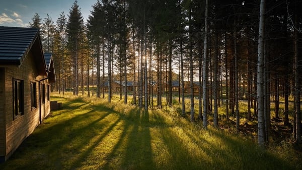 Claire Spreadbury heads to Longford Forest to see how one of the most exciting new family escapes is shaping up.