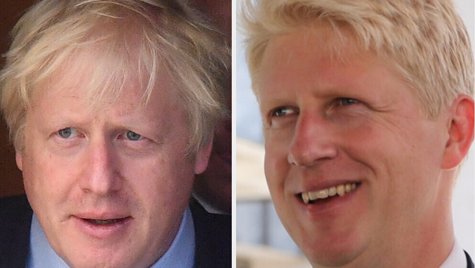 Boris Johnson's brother resigns as junior minister