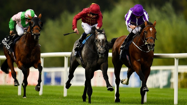 The ill-fated Roaring Lion mowed down Saxon Warrior in the dying strides of last season's Irish Champion Stakes