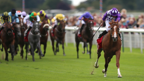 Mums Tipple scorched to victory in an impressive time in a sales race at York's Ebor meeting last August