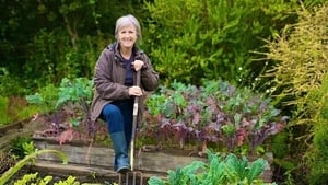 Deirdre Ní Bhraonáin, Garraíodóir Chluain na dTorr.