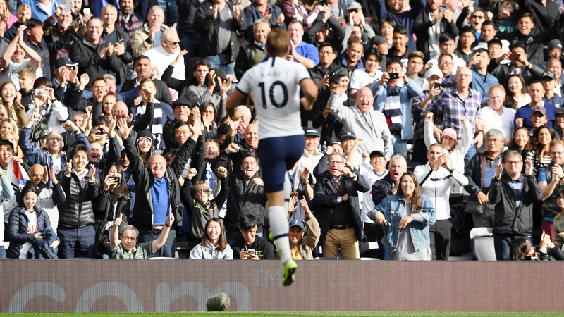 Harry Kane celebrates his goal at White Hart Lane