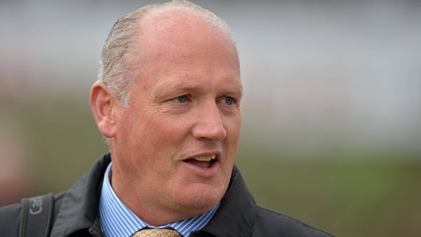 Hold-up tactics may be key to Willie McCreery's keen-going, but talented mare