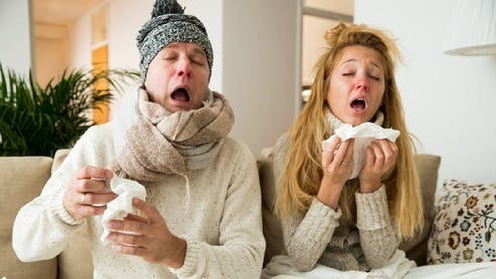 All you need to know about the common cold