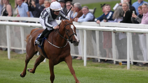 'The Falmouth Stakes at Newmarket is the next Group One opportunity in the calendar'