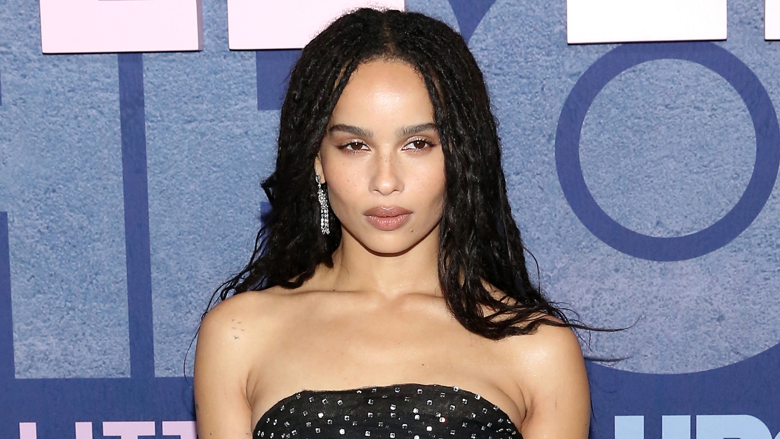 Zoë Kravitz fears social media has hurt her career