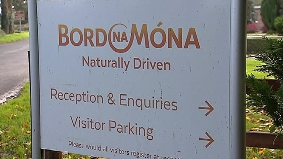 Bord na Móna spent €64,000 to foot CEO's benefit-in-kind bill