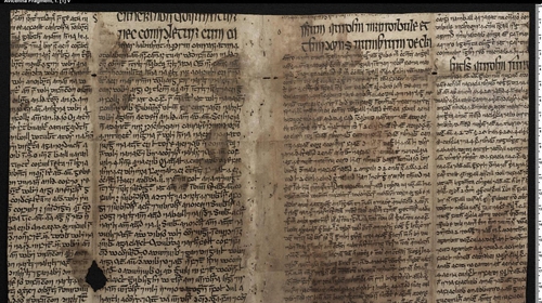 A page from a previously undiscovered 15th-century Irish vellum manuscript showing a connection between Gaelic Ireland and the Islamic world. Photo: Irish Script On Screen/Dublin Institute for Advanced Studies