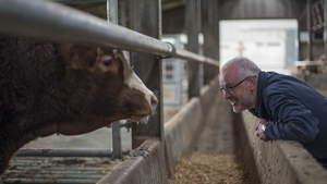 Creating a carbon neutral resilient dairy farm.