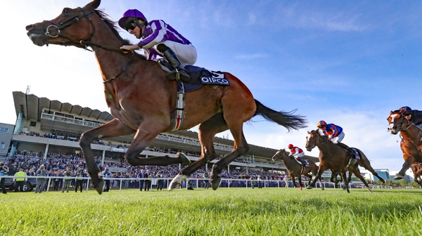 Magical led home a one-two-three for Aidan O'Brien in last season's Champion Stakes