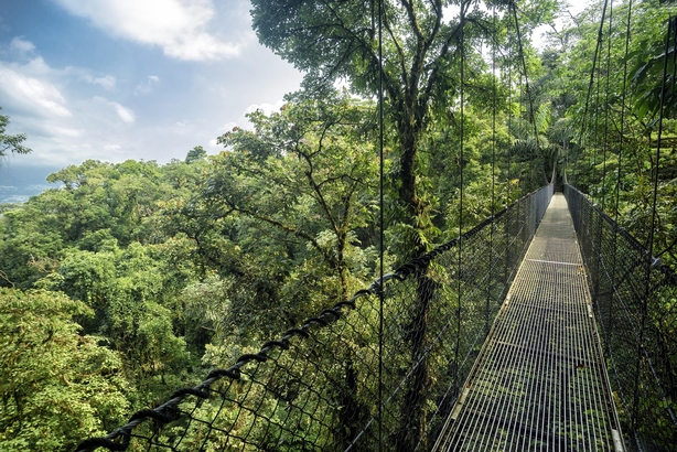 Hanging bridge