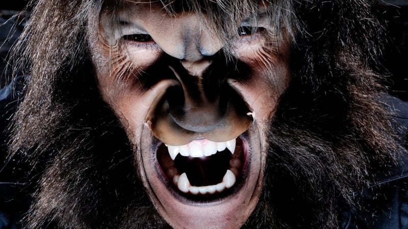 "Werewolf myths have proven a ripe metaphor for the changes associated with adolescence, including aggressive behaviour, heightened sexual emotions, muscle development and emerging body hair"