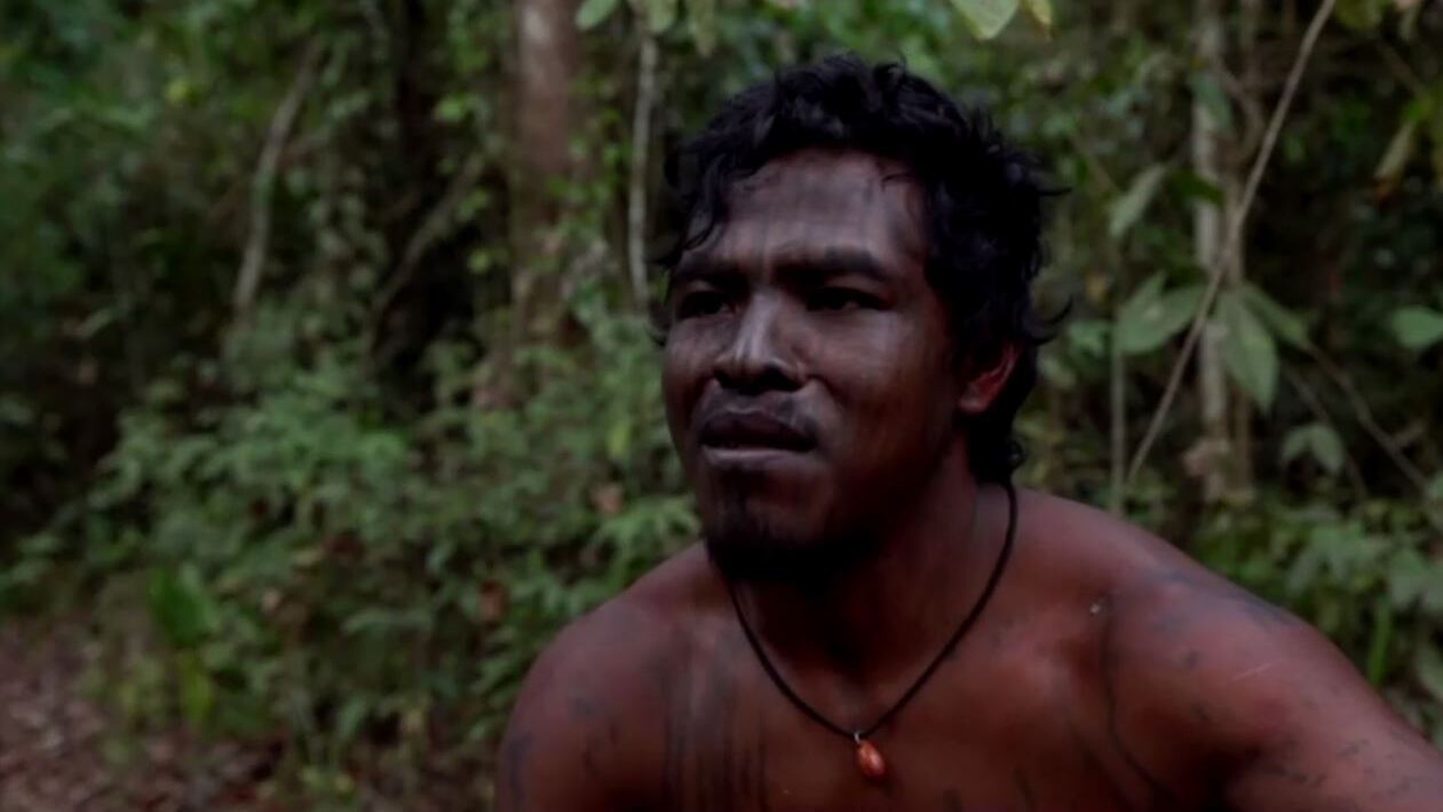 Illegal loggers kill Amazon 'guardian of the forest'