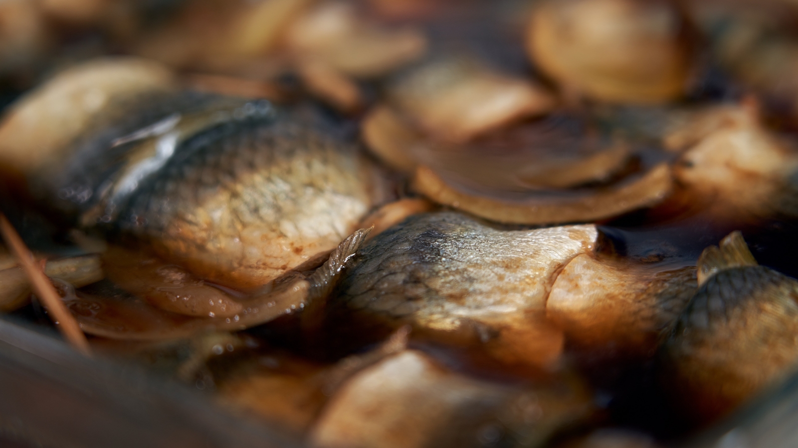 Rosemary's Stout Soused Herring Tastes Like Home