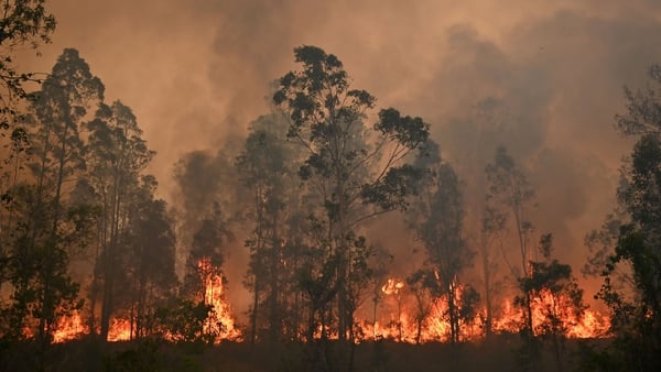 More than 100 fires were still burning across New South Wales and Queensland on Sunday