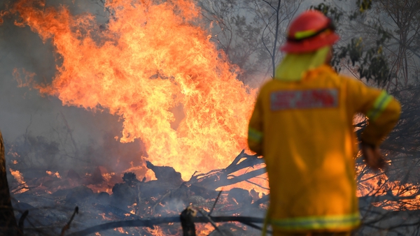 A firefighter works to contain a bushfire near Glen Innes