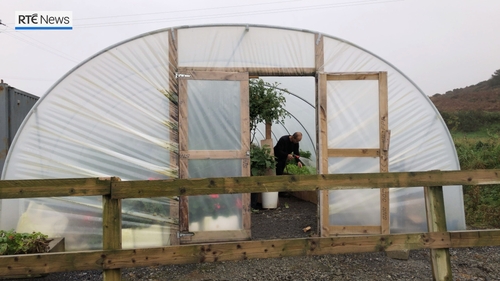 Rainwater is used to water vegetables in the hotel's poly tunnel Rainwater is used to water vegetables in the hotel's poly tunnel