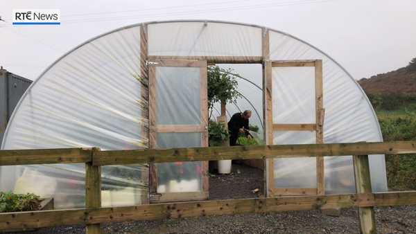 Rainwater is used to water vegetables in the hotel's poly tunnel