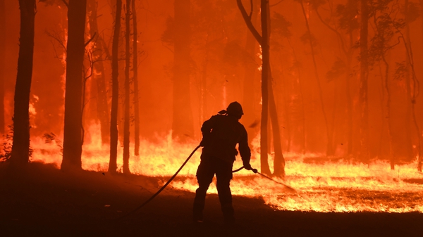 Australia has been dealing with an unprecedented bushfire crisis