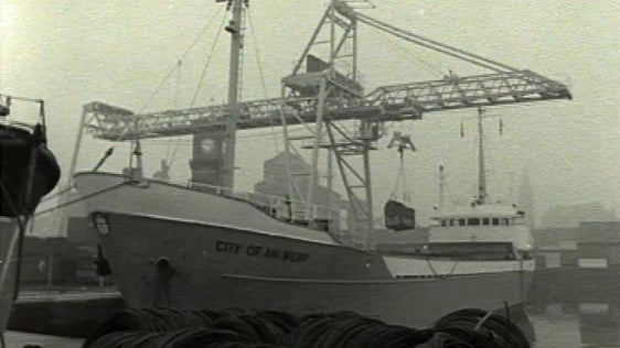 Limerick Docks (1969)