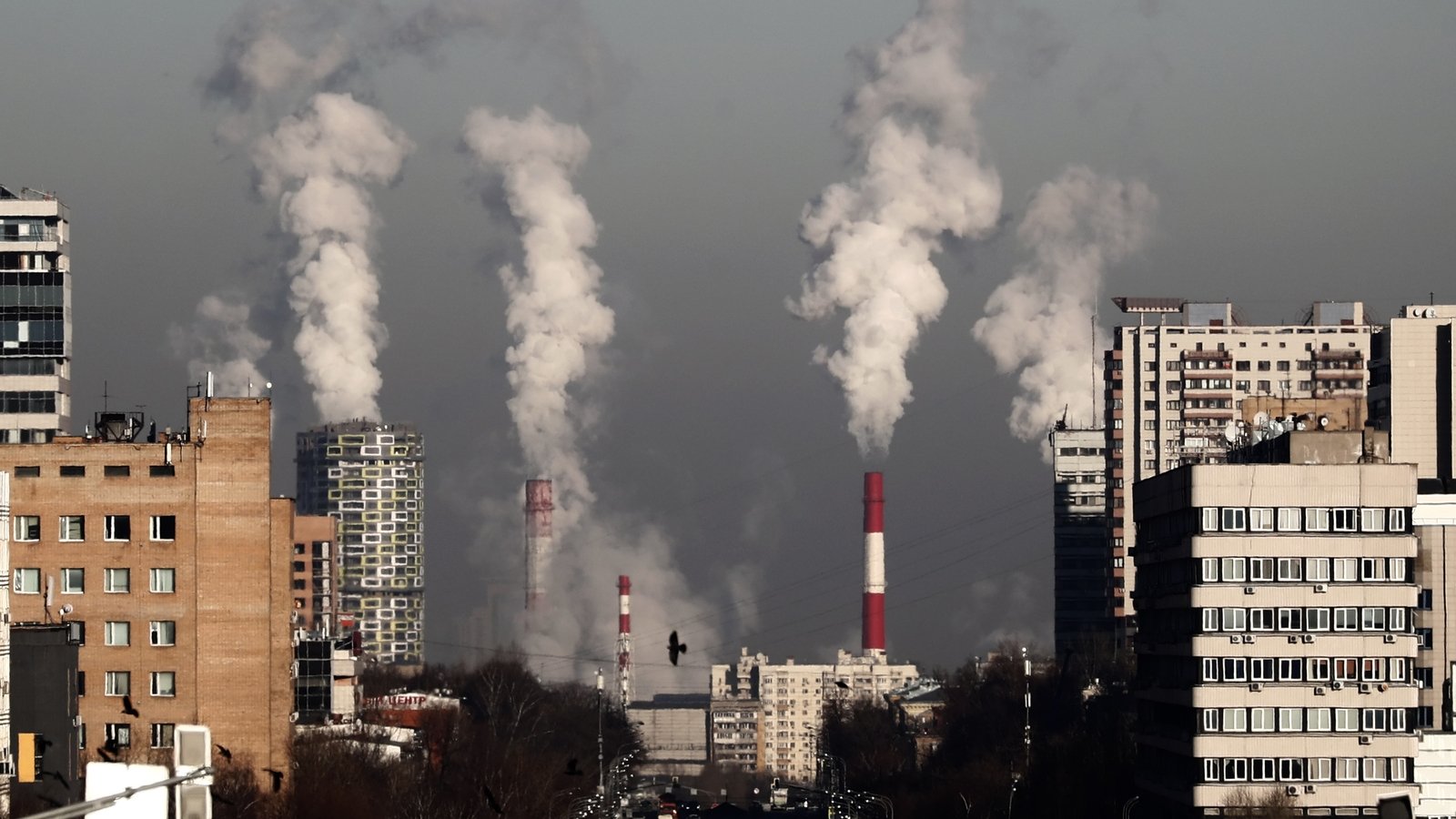EU declares climate emergency ahead of summit