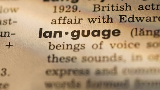 Definition of language in dictionary (Getty Images)