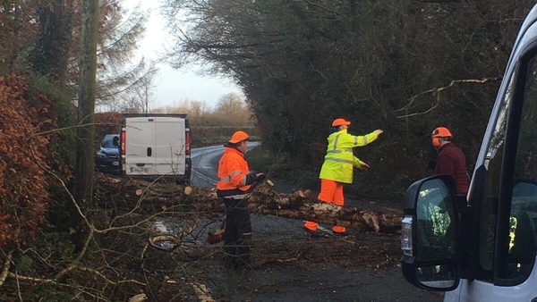 Emergency crews deal with fallen trees in Newbridge, Co Kildare