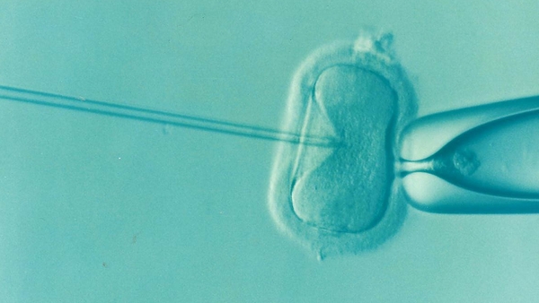 After three miscarriages, the word 