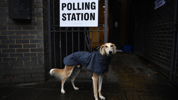 His master's vote - Outside a polling station in North London Photo: EPA