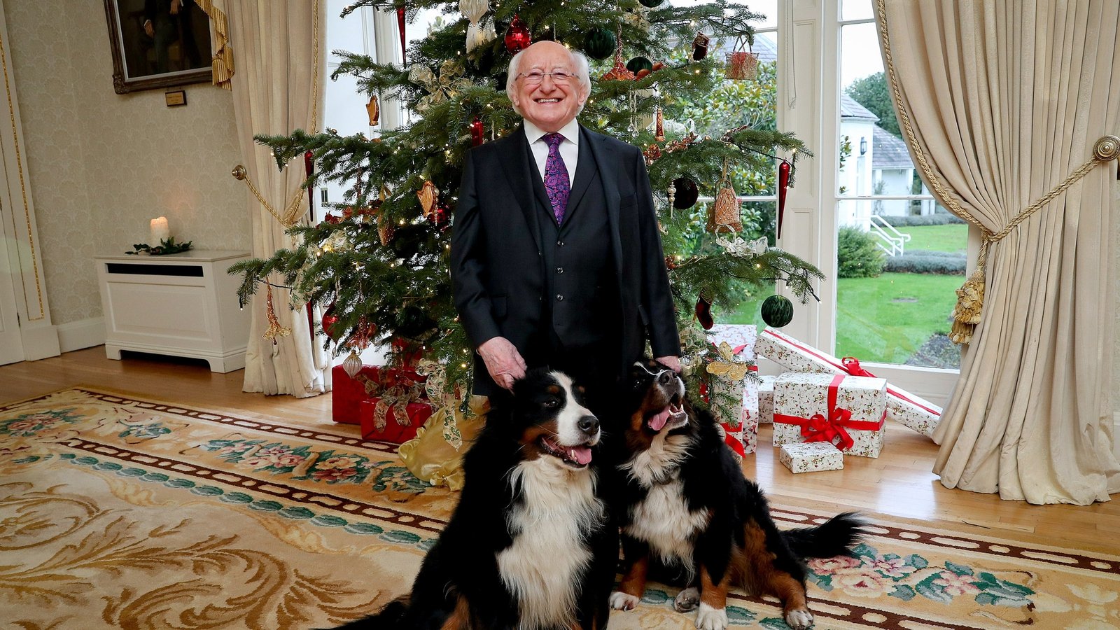 President Michael D Higgins' dog Síoda dies