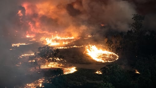 Fires killed 33 people and a billion native animals nationally
