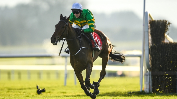 Fakir D'oudairies was beaten by Notebook in the Grade One Racing Post Novice Chase at Leopardstown