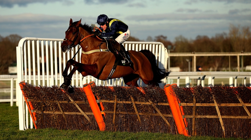 fiddlerontheroof horse odds