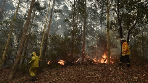 Australian fires in Victoria and New South Wales