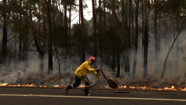 A firefighter works to contain a bushfire, which closed the Princes Highway, near Ulladulla, Australia