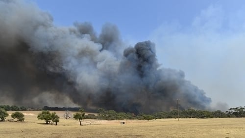 Return of hot weather has seen bushfires regenerating