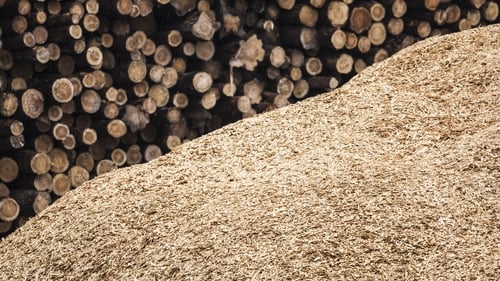 "Sawdust has been proven to remove toxic chemicals from water." Photo: Getty Images