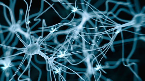 "The genes involved in motor neuron disease provide the instructions for proteins that carry out various different jobs"