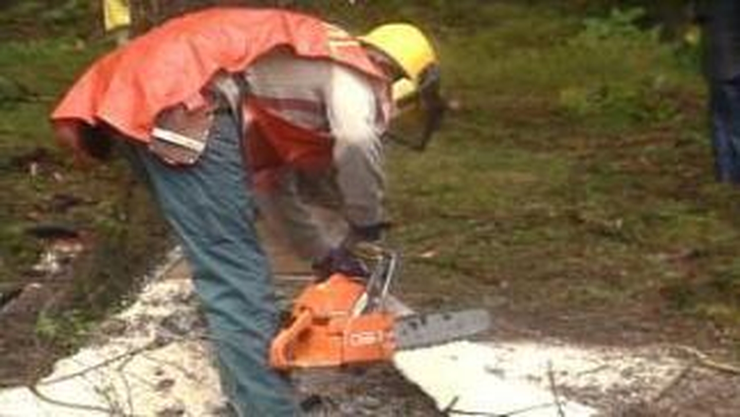 RTÉ Archives Collections All Ireland Chainsaw Contest