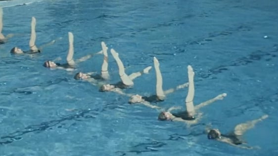 Flamingo Synchronised Swimming