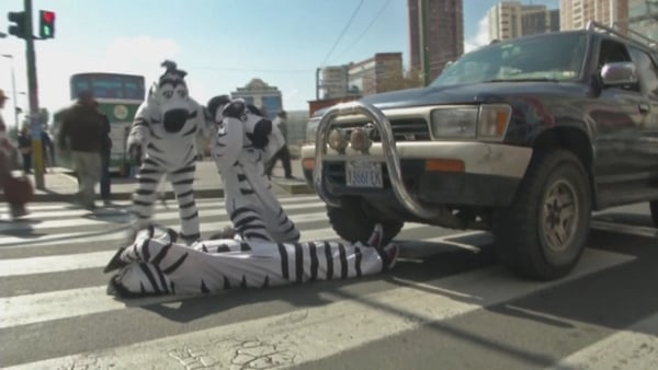 The 'zebras' try to encourage drivers to respect pedestrians