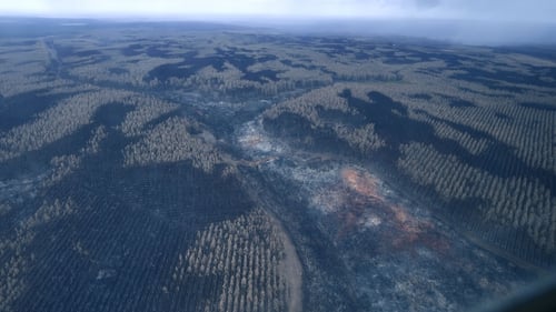 The burnt landscape seen above Kangaroo Island