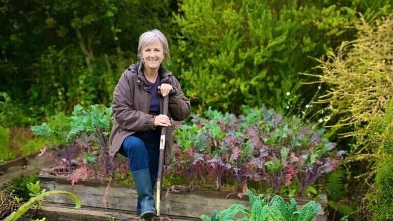 Deirdre Ní Bhraonáin, Garraíodóir Chluain Na dTor.