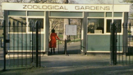 Dublin Zoo (1975)