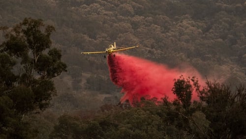 An aircraft dumps fire retardant near houses in the Australian capital, Canberra
