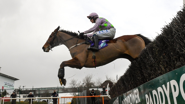 Faugheen has been off the track since finishing third in the Marsh Novices' Chase at last year's Festival