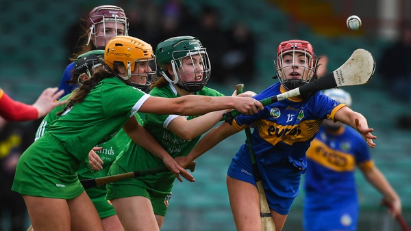 Tipperary pipped Limerick in the Gaelic Grounds